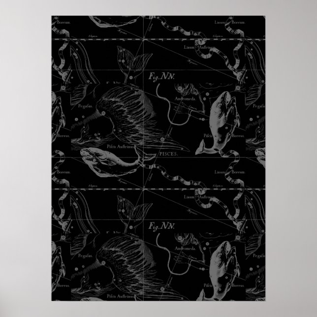 Pisces Constellation Hevelius 1690 on Black Poster (Framsidan)