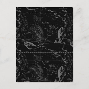 Pisces Constellation Hevelius 1690 on Black Vykort
