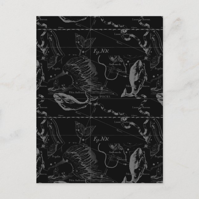 Pisces Constellation Hevelius 1690 on Black Vykort (Framsida)