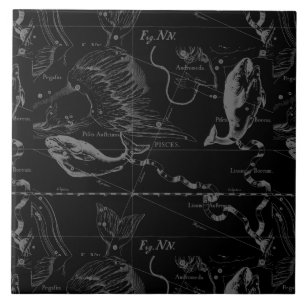 Pisces Constellation Hevelius 1690 på svart Kakelplatta