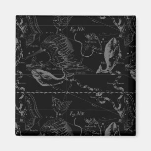 Pisces Constellation Hevelius 1690 på svart Magnet