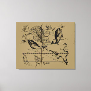 Pisces Constellation Hevelius circa 1690 Canvastryck