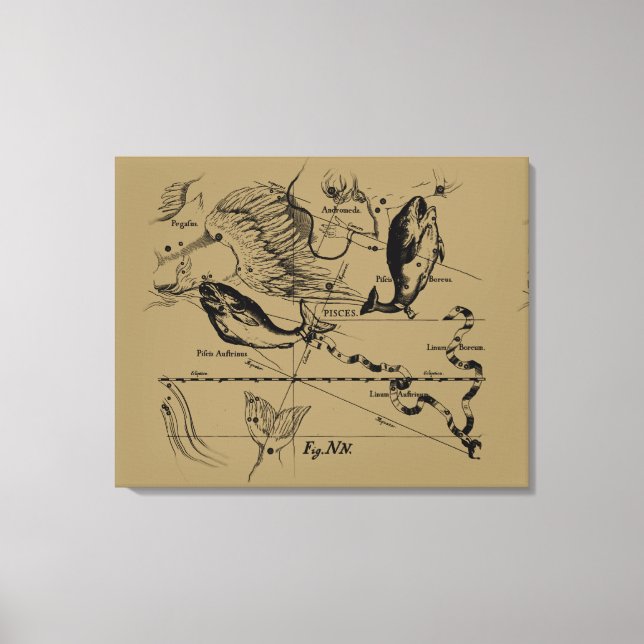 Pisces Constellation Hevelius circa 1690 Canvastryck (Framsida)
