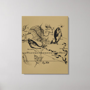 Pisces Constellation Hevelius circa 1690 Canvastryck
