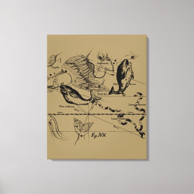 Pisces Constellation Hevelius circa 1690 Canvastryck (Framsida)