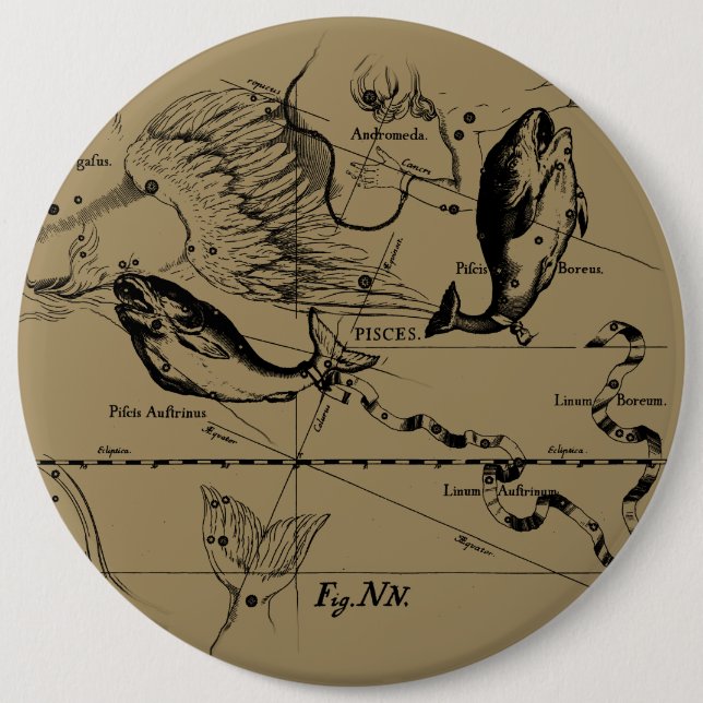 Pisces Constellation Hevelius circa 1690 Knapp (Framsida)