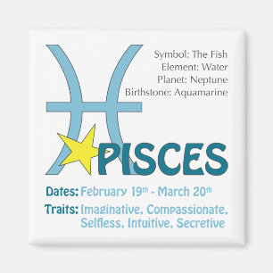 Pisces dragmagnet magnet