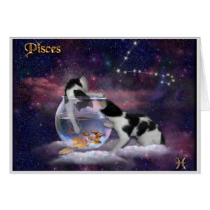 Pisces-♓ 🐱 hälsningskort