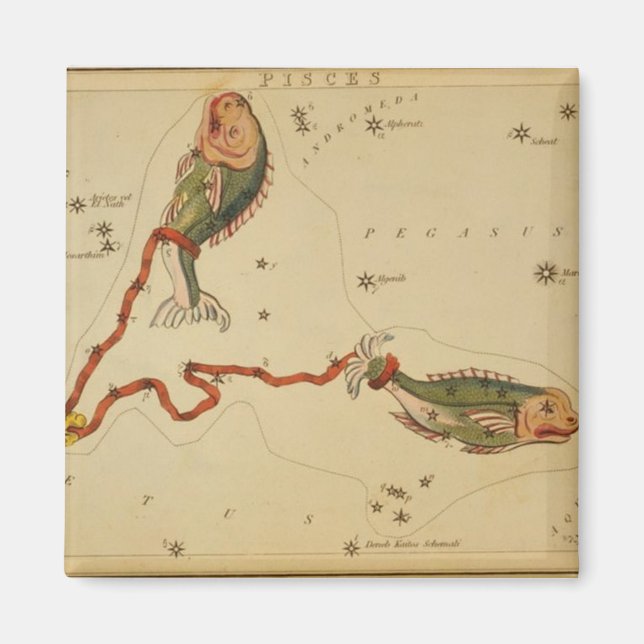 Pisces Magnet (Framsidan)