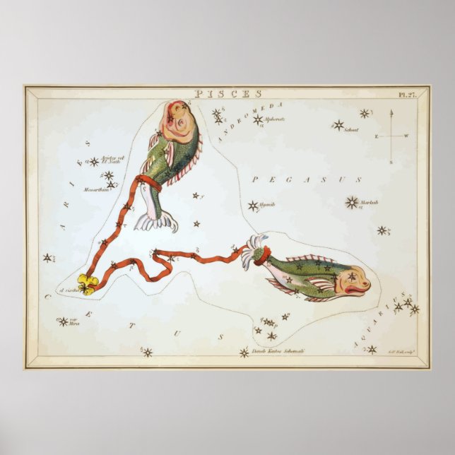 Pisces - Piscis - Horoscope - Astrology - Stars Poster (Framsidan)