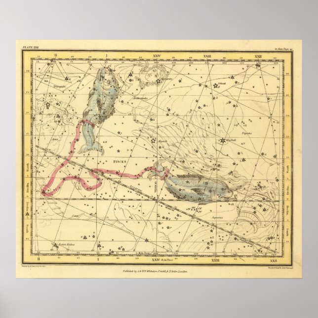 Pisces Poster (Framsidan)