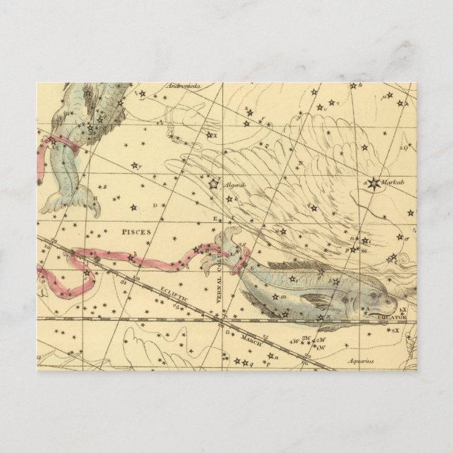Pisces Vykort (Framsida)