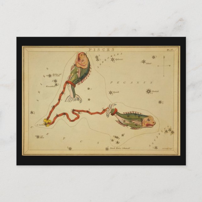 Pisces Vykort (Framsida)