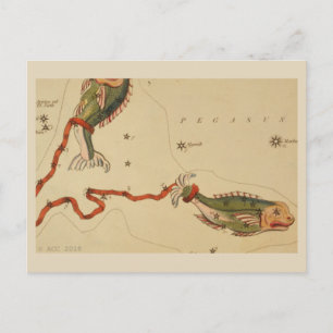 Pisces Zodiac-tecken Vykort