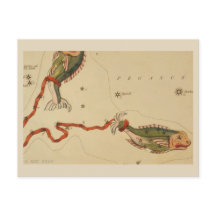 Pisces Zodiac-tecken