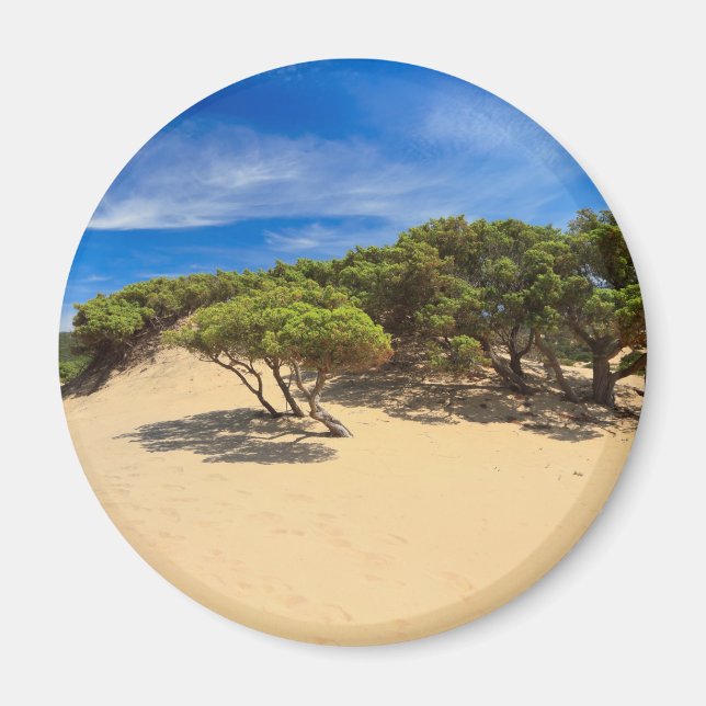 Piscinas dune - Sardinien, Italien Magnet (Framsidan)