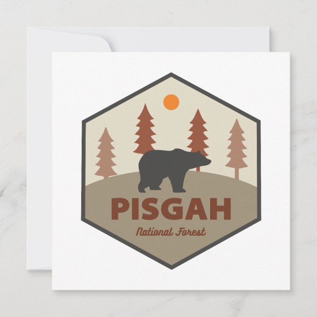 Pisgah National Forest Bear (Framsida)