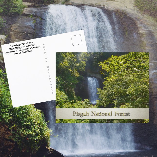 Pisgah National Forest Blue Ridge Mountains Vykort (Skapare uppladdad)