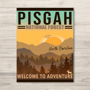 Pisgah National Forest North Carolina Vykort