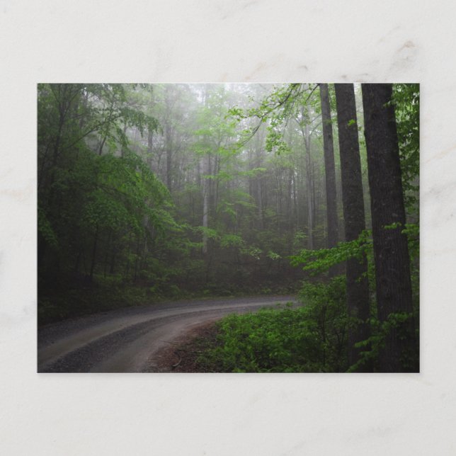 Pisgah National Forest, North Carolina-vykort Vykort (Framsida)