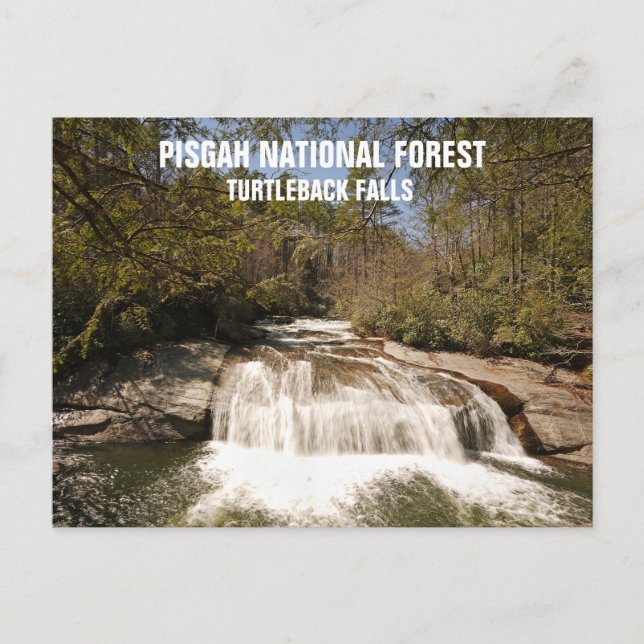 Pisgah National Forest North Carolina Waterfall Vykort (Framsida)