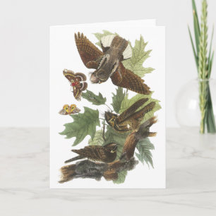 Piska-fattig-ska John Audubon Kort