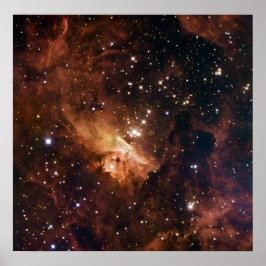 Pismis 24 bruna stjärnor NASA Poster