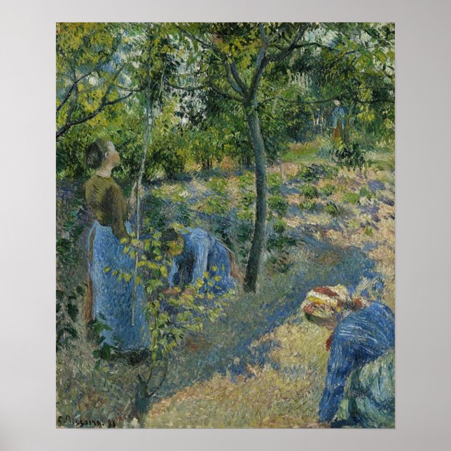 Pissarro - Äppelplockning 1881 Poster (Framsidan)