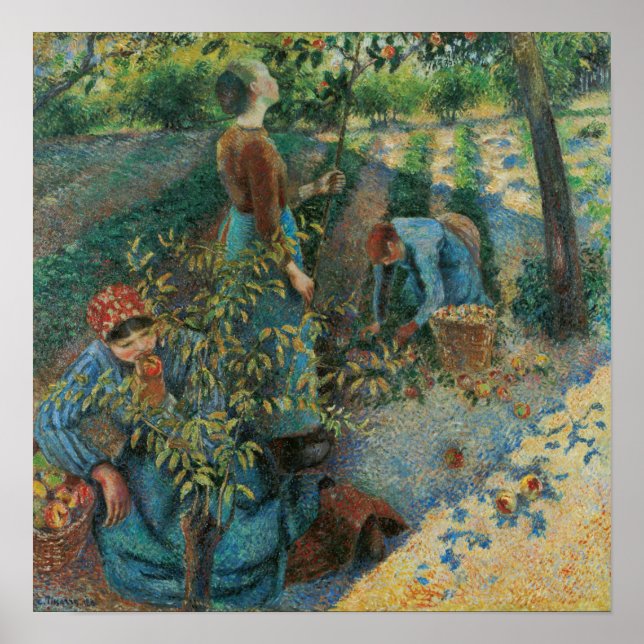 Pissarro - Äppelplockning Poster (Framsidan)