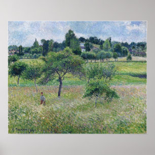 Pissarro - Äpple Träd vid Eragny 1894 Poster