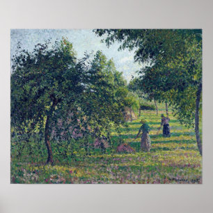Pissarro - Äpple Träd vid Eragny 1895 Poster