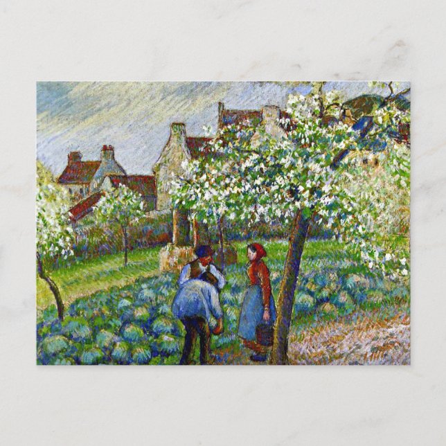 Pissarro - Blommar Plum Träd Vykort (Framsida)