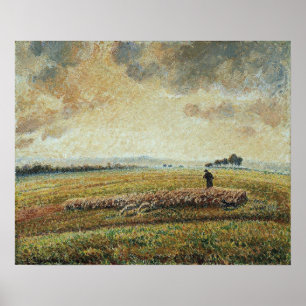 Pissarro - Flocket av får 1902 Poster