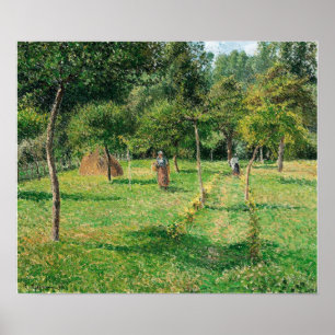 Pissarro - Fruktträdgård i Eragny 1896 Poster