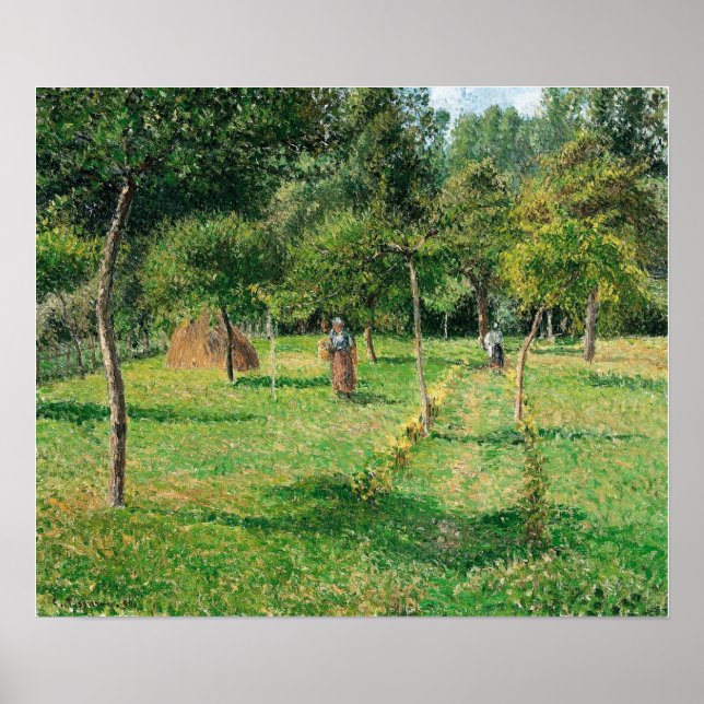 Pissarro - Fruktträdgård i Eragny 1896 Poster (Framsidan)