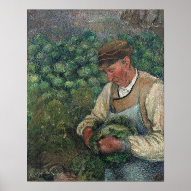 Pissarro - Gardener Gamla bönder med kål Poster (Framsidan)