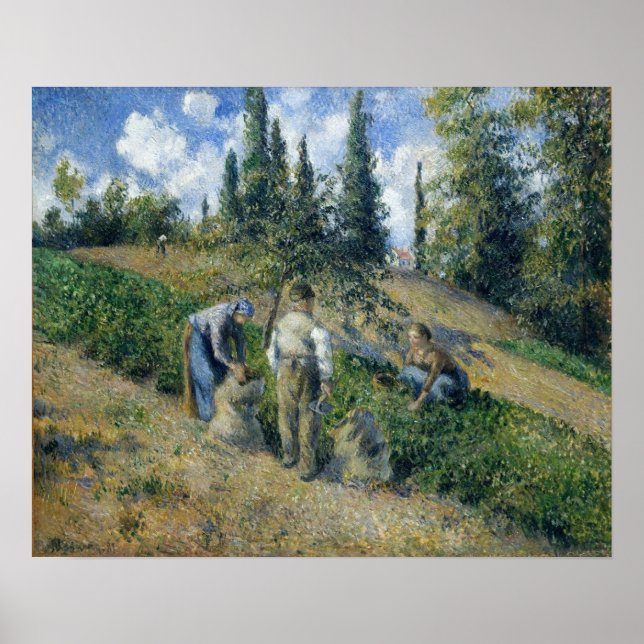 Pissarro - Harvest Pontoise 1881 Poster (Framsidan)