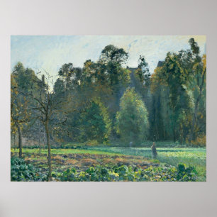Pissarro - kål Fält Pontoise 1873 Poster