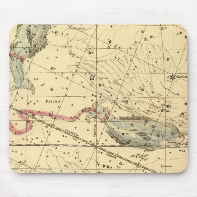 Pisser Musmatta (Framsidan)