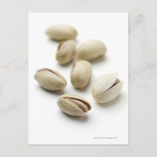 Pistachio nöt. vykort