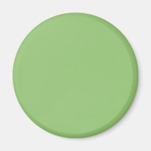 Pistachio Solid Färg Magnet