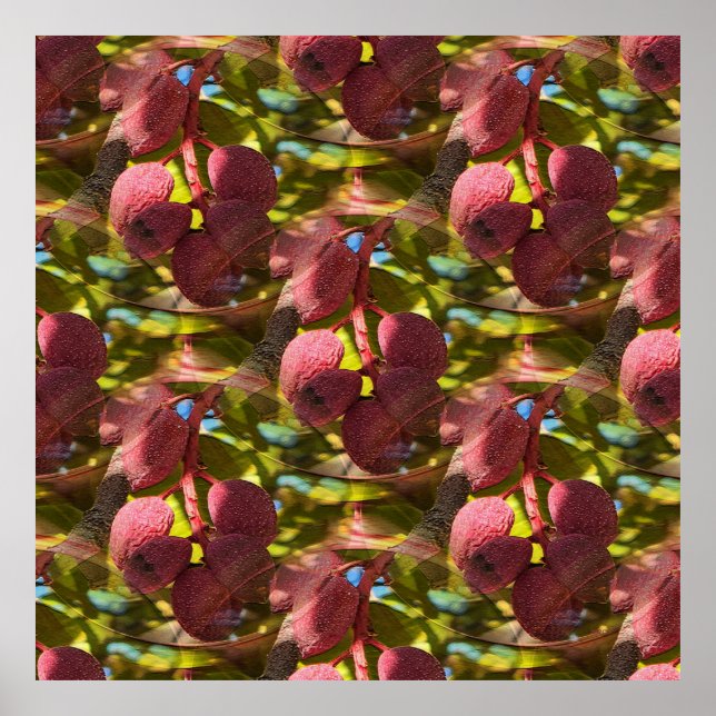 Pistachios... Poster (Framsidan)