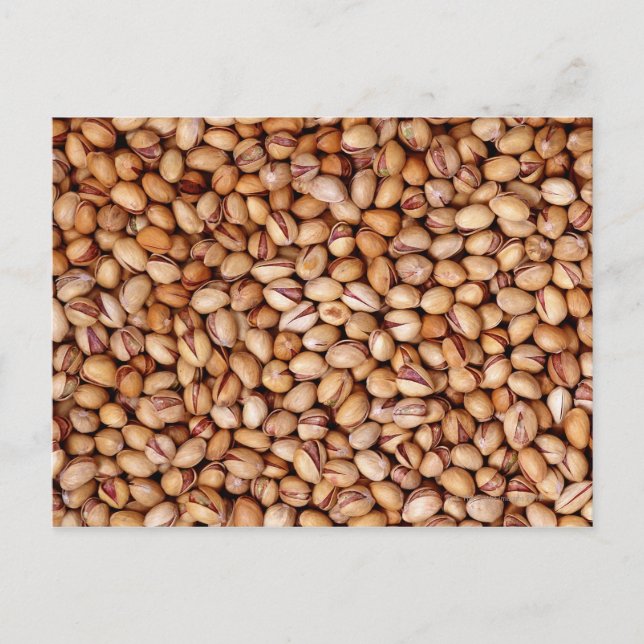 Pistagenötter Vykort (Framsida)