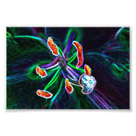  Pistilo de flor con efecto abstracto Fototryck