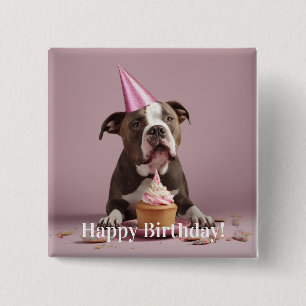 Pit Bull Birthday Celebration Knapp