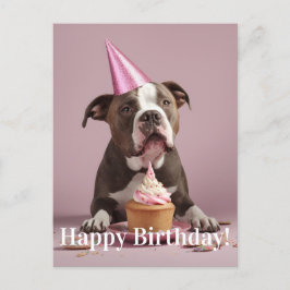Pit Bull Birthday Celebration Vykort