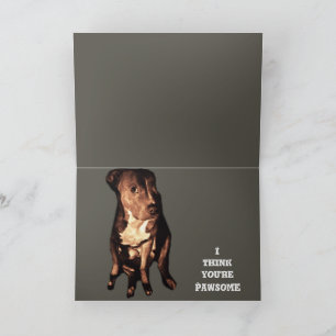 PIT BULL BIRTHDAY GREETY Card Kort