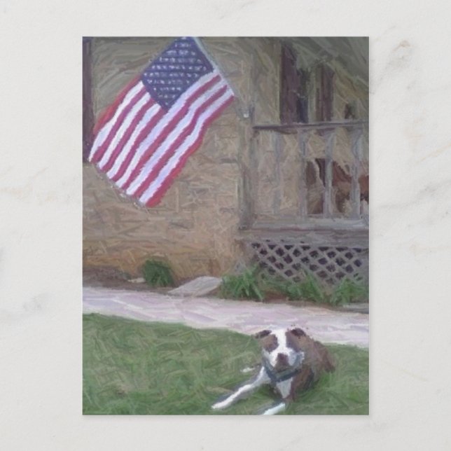 Pit Bull/BSL-vykort Vykort (Framsida)