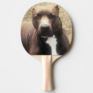 Pit Bull Dog Anpassningsbar Pet Photo Pingisracket