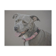 Pit Bull Dog Art Postcard